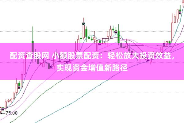 配资查股网 小额股票配资：轻松放大投资效益，实现资金增值新路径