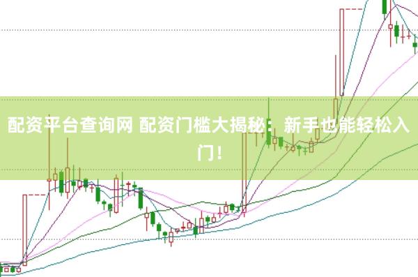 配资平台查询网 配资门槛大揭秘：新手也能轻松入门！