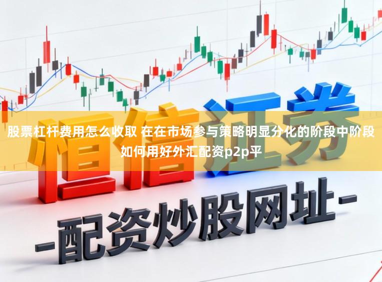 股票杠杆费用怎么收取 在在市场参与策略明显分化的阶段中阶段如何用好外汇配资p2p平