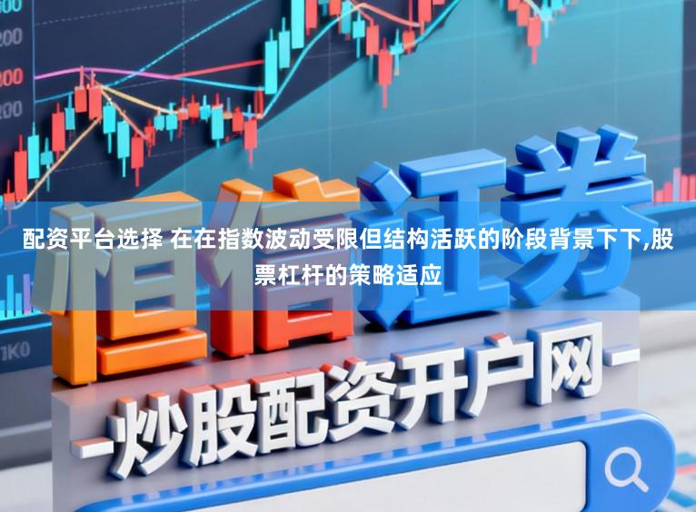 配资平台选择 在在指数波动受限但结构活跃的阶段背景下下,股票杠杆的策略适应